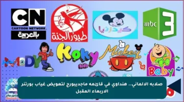 صلابة الألماني.. هنداوي في قائمة ماجديبورج لتعويض غياب بورتنر الأربعاء المقبل